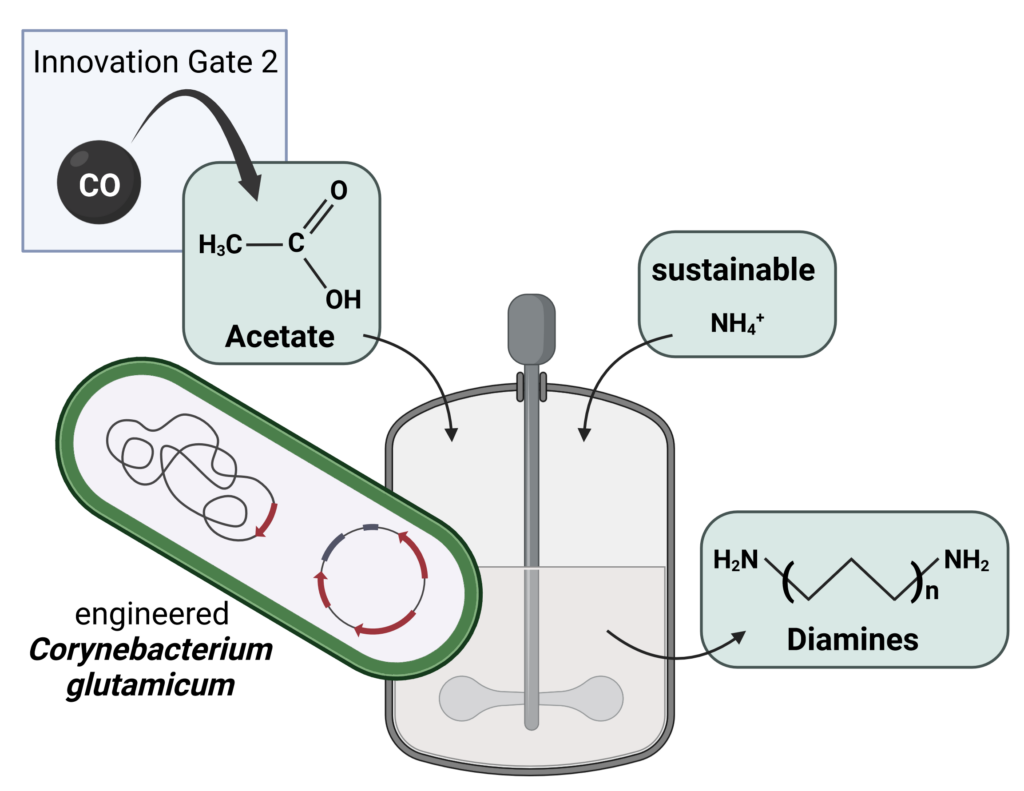 Inno gate 3_Metabolic Engineering